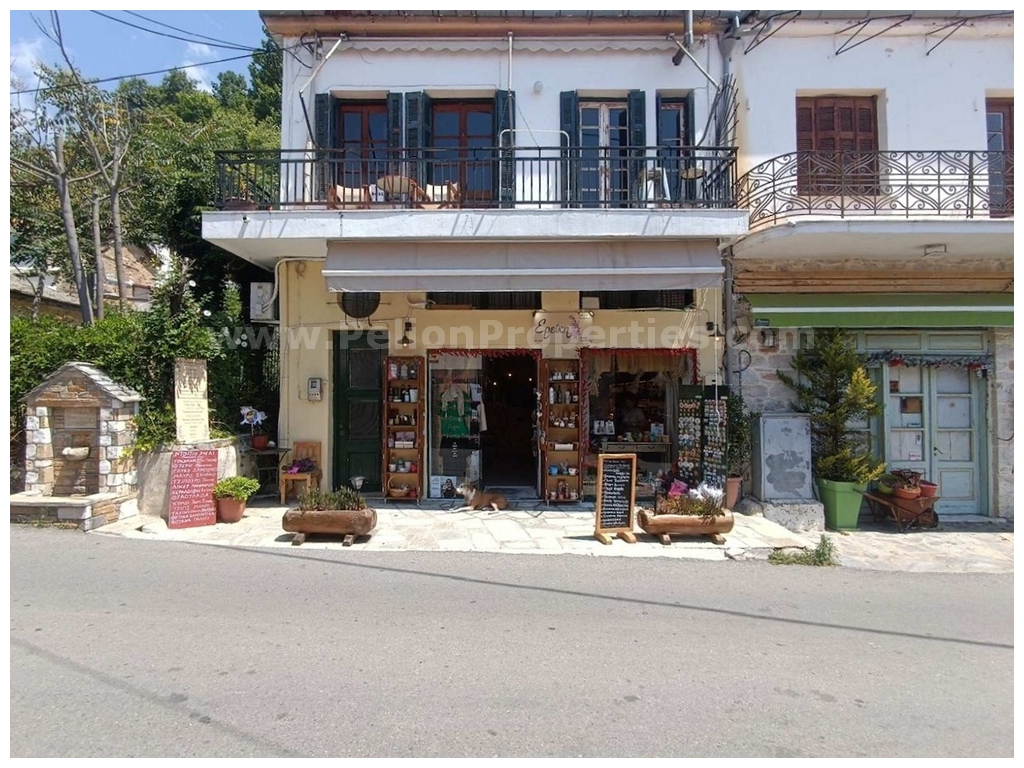 Home and business in Milies Pelion - Property Pelion